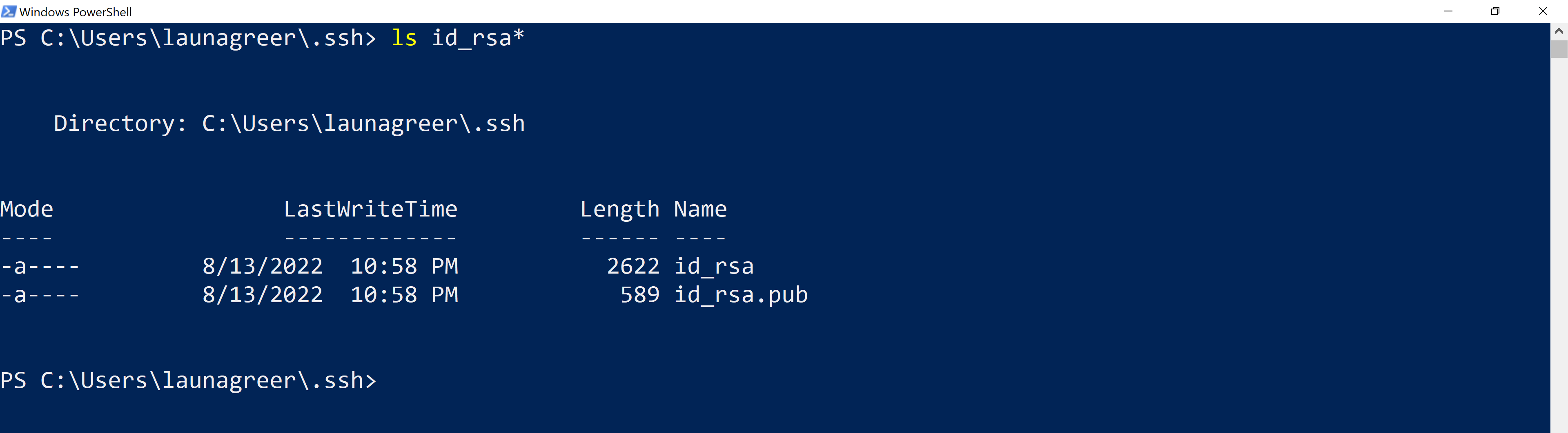 SSH key pair screenshot - Windows